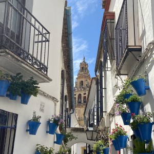 Blue pots of flowers adorn the white walls of the buildings on this narrow street